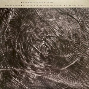 COCTEAU TWINS & HAROLD BUDD - MOON AND THE MELODIES LP