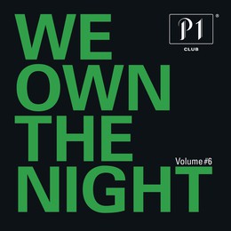 V.A. - P1 CLUB VOL.6-WE OWE THE NIGHT  CD2