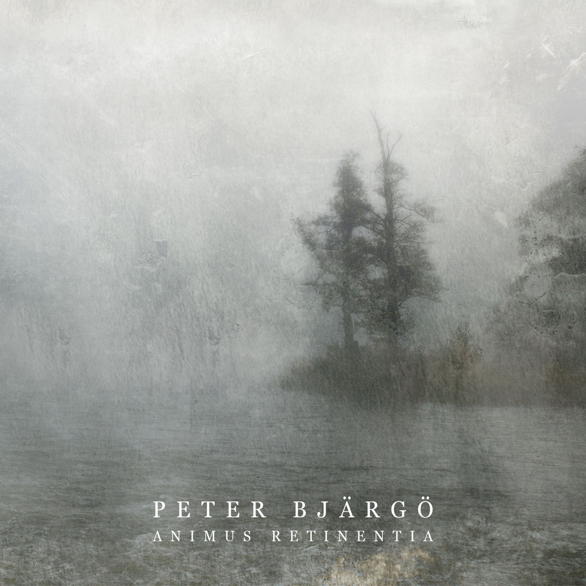 BJARGO PETER - ANIMUS RETINENTIA CD