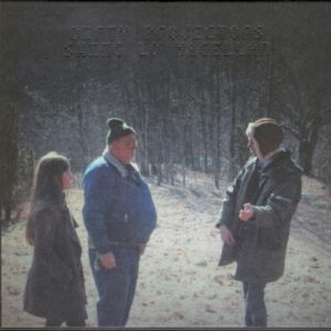 DIRTY PROJECTORS - SWING LOW MAGELLAN