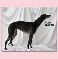 FLAT WORMS - FLAT WORMS