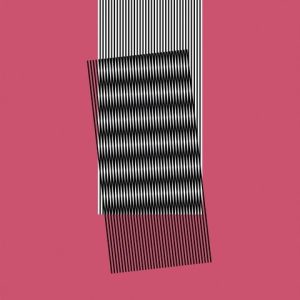 HOT CHIP -WHY MAKE SENSE