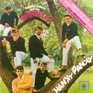JAMES TOMMY & SHONDELLS - HANKY PANKY/IT'S ONLY LOVE