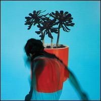LOCAL NATIVES - SUNLIT YOUTH