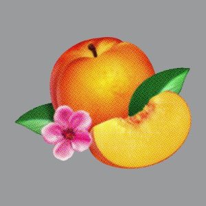 PHOENIX - BANKRUPT!
