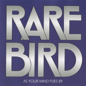 RARE BIRD - AS YOUR MIND FLIES BY