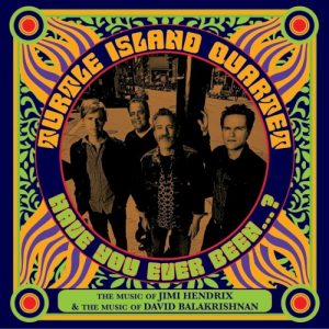 TURTLE ISLAND QUARTET - HAVE YOU EVER BEEN...?