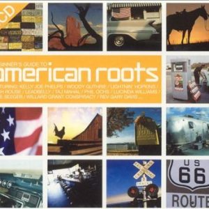 V.A. - AMERICAN ROOTS BEGINNERS GUIDE