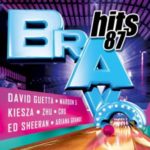 V.A. - BRAVO HITS 87