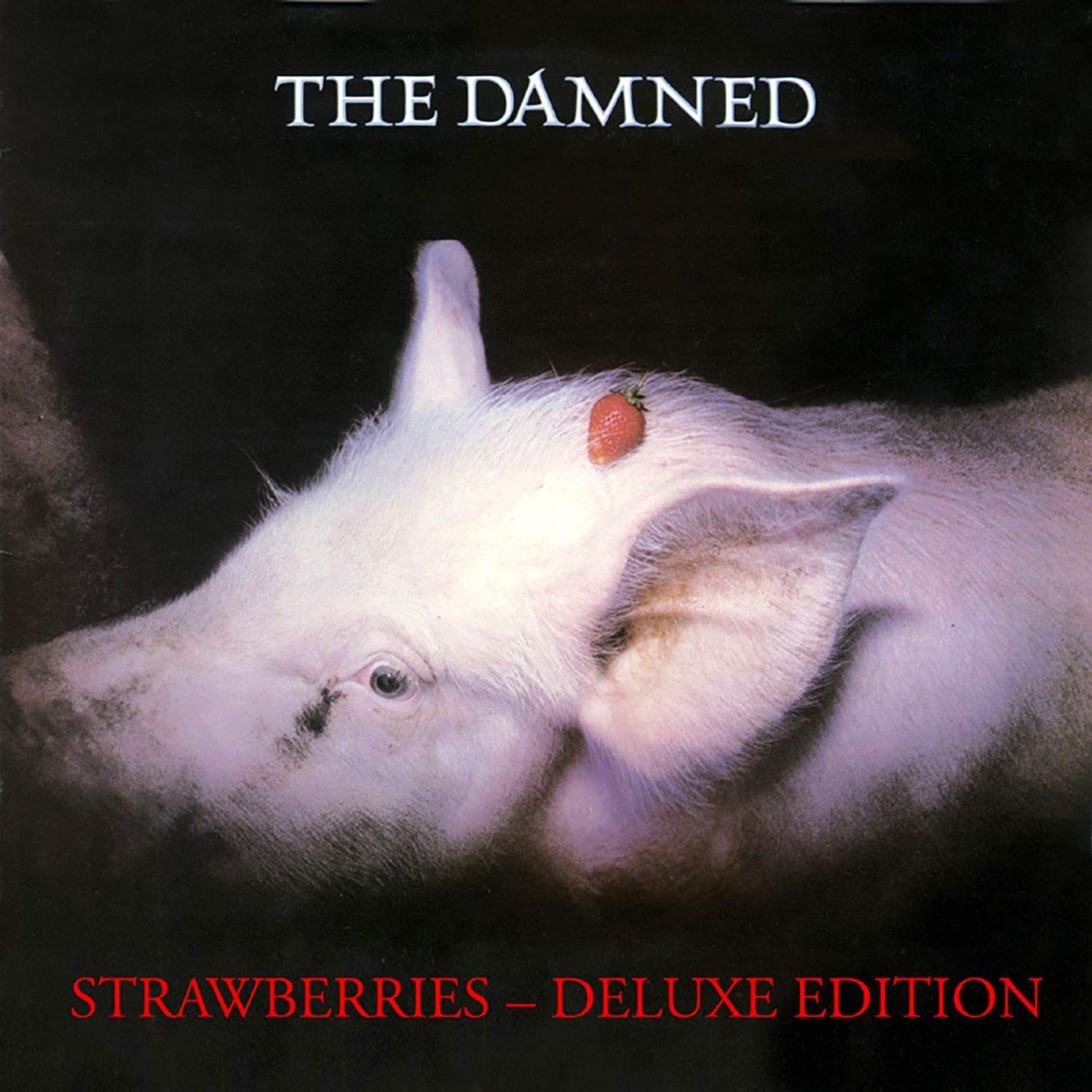 DAMNED - STRAWBERRIES LP