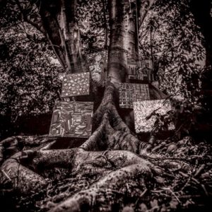 WASHINGTON KAMASI - HARMONY OF DIFFERENCE