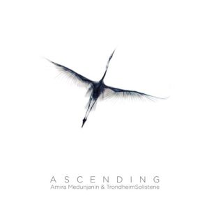 MEDUNJANIN AMIRA - ASCENDING
