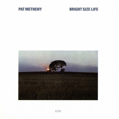 METHENY PAT - BRIGHT SIZE LIFE CD