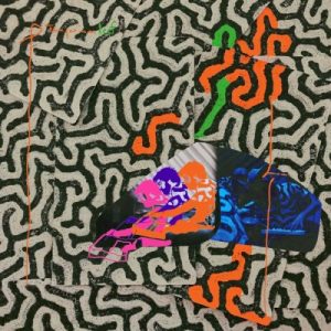 ANIMAL COLLECTIVE - TANGERINE REEF...CD