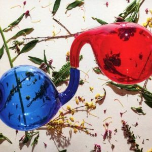 DIRTY POJECTORS - LAMP LIT PROSE...CD