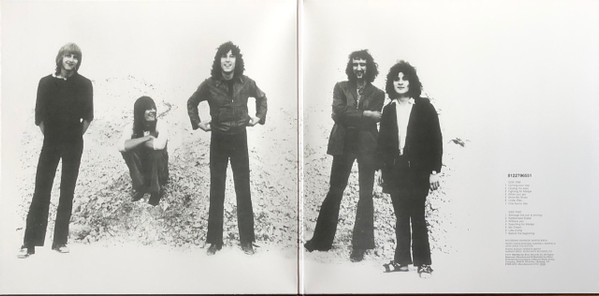 FLEETWOOD MAC - THEN PLAY ON LP (Reissue, Stereo, Gatefold, 180 Gram) - Slika 2