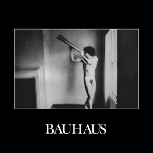BAUHAUS - IN THE FLAT FIELD CD