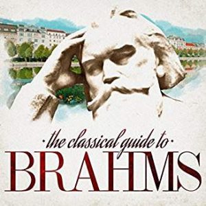 BRAHMS - EXPERIENCE