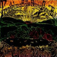TREMBLING BELLS & BONNIE PRINCE BILLY - MARBLE DOWNS