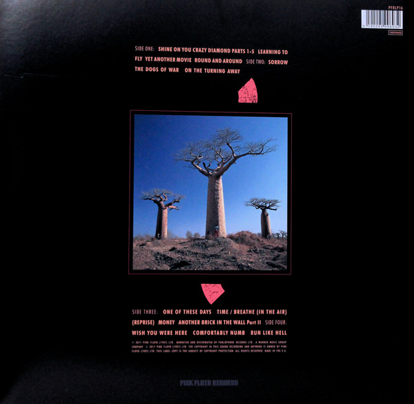 PINK FLOYD - DELICATE SOUND OF THUNDER...LP2