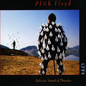 PINK FLOYD - DELICATE SOUND OF THUNDER