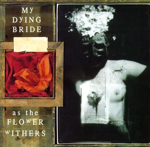 MY DYING BRIDE - AS THE FLOWER WITHERS