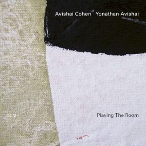 COHEN AVISHAI/YONATHAN AVISHAI - PLAYING THE ROOM CD