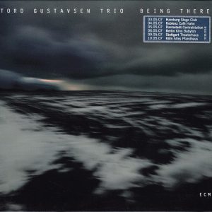 GUSTAFSEN TORD TRIO - BEING THERE