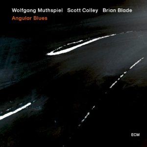 MUTHSPIEL WOLFGANG - ANGULAR BLUES CD