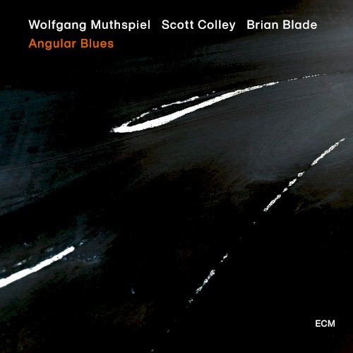 MUTHSPIEL WOLFGANG - ANGULAR BLUES CD