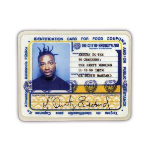 OL' DIRTY BASTARD - RETURN TO THE 36 CHAMBERS coloured vinyl box RSD 2020 9X7''