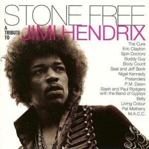 V.A. - STONE FREE-TRIBUTE TO JIMI HENDRIX clear/black vinyl  RSDLP2