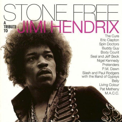 V.A. - STONE FREE-TRIBUTE TO JIMI HENDRIX clear/black vinyl RSDLP2