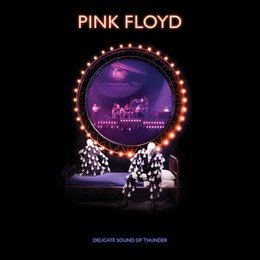 PINK FLOYD - DELICATE SOUND OF THUNDER Restored Re-Edited Remixed BRD
