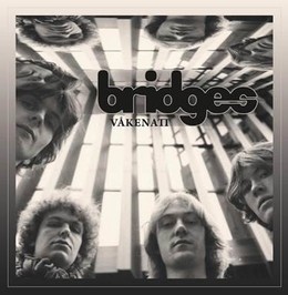 BRIDGES - VAKENATT CD
