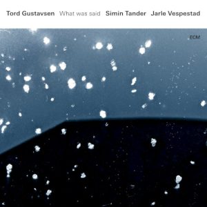 GUSTAVSEN TORD - WHAT WAS SAID