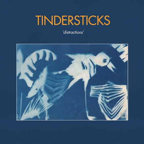 TINDERSTICKS - DISTRACTIONS LP