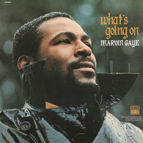 GAYE MARVIN - WHATS GOING ON...LP
