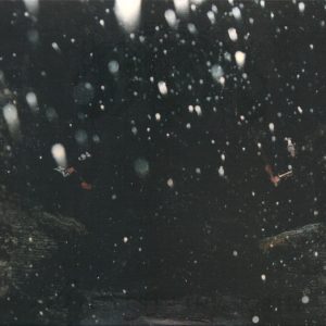 IMMORTAL - BATTLE IN THE NORTH alternative artwork CD