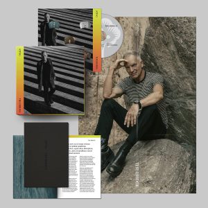 STING - BRIDGE BOX