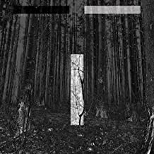 LIEBING CHRIS - ANOTHER DAY LP2