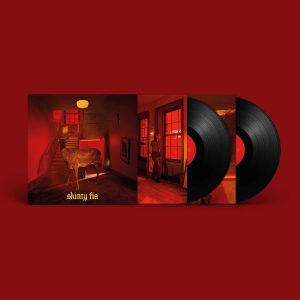 FONTAINES D.C. - SKINTY FIA deluxe gatefold vinyl LP2