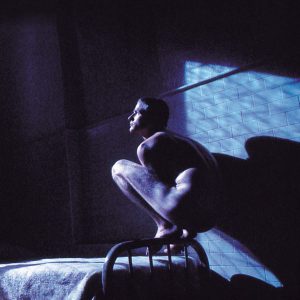 GABRIEL PETER - BIRDY LP