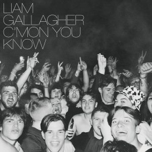 GALLAGHER LIAM - C'MON YOU KNOW LP
