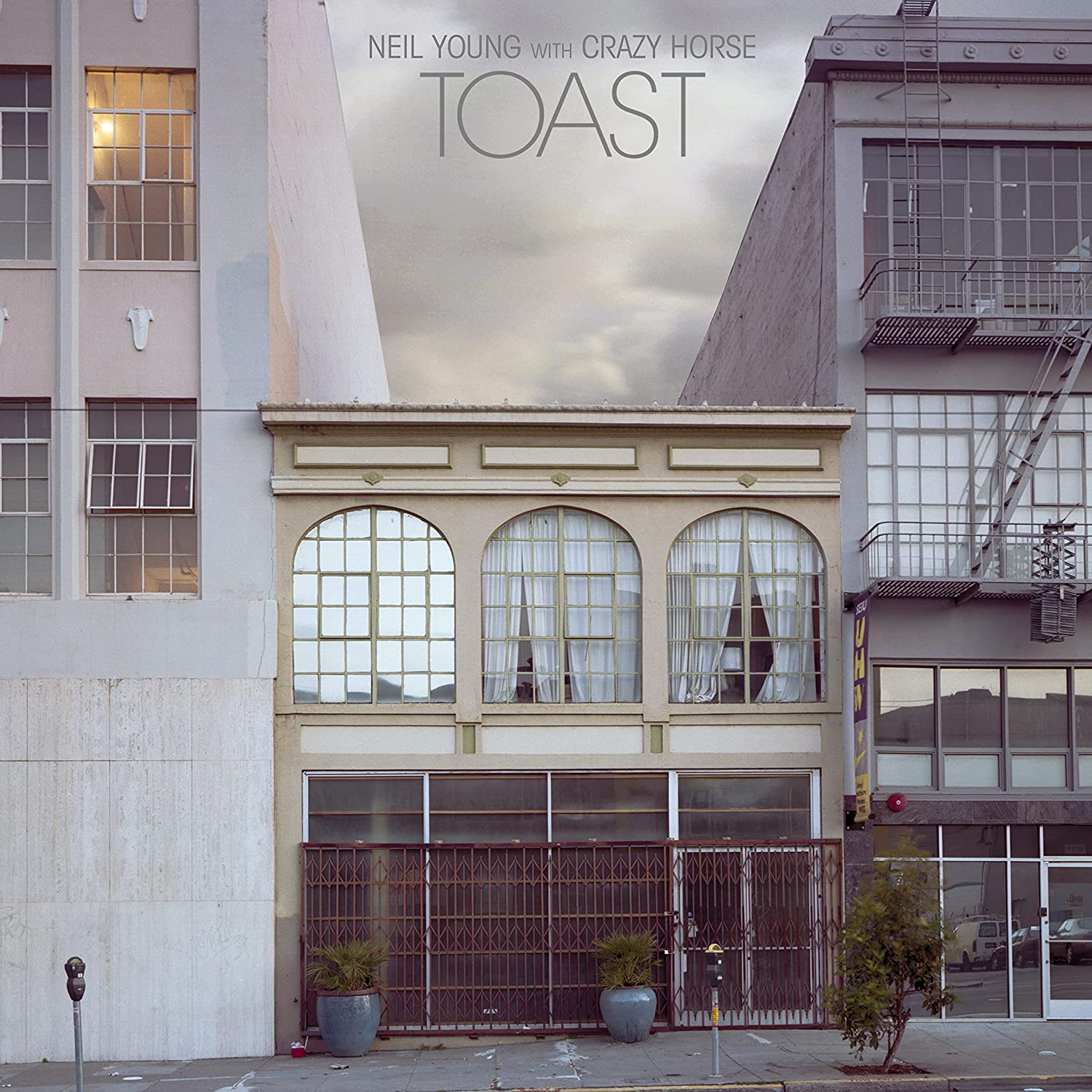 YOUNG NEIL - TOAST LP2