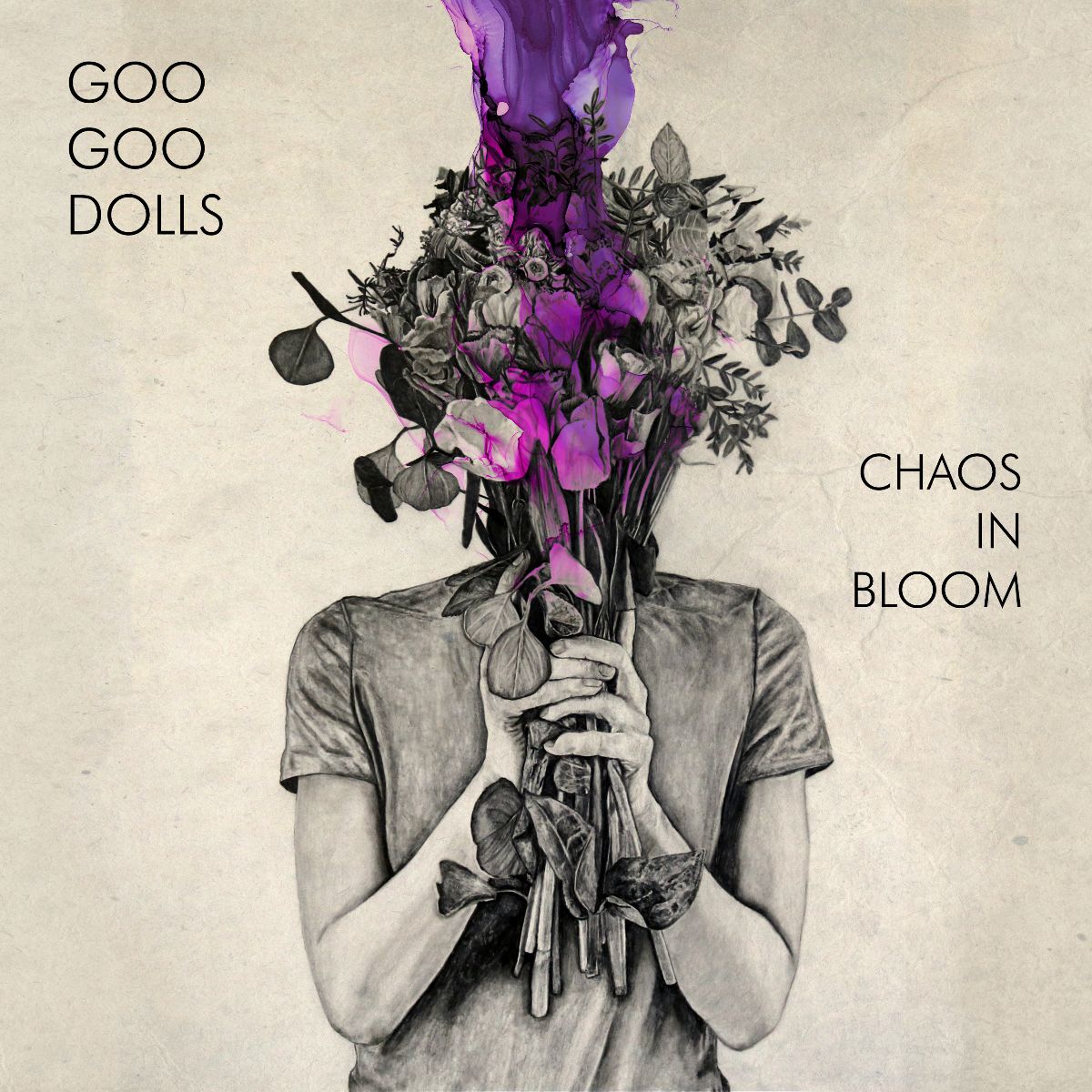goo goo dolls, chaos in bloom
