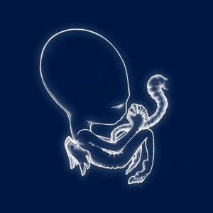 SIGUR ROS - AGAETIS BYRJUN LP2