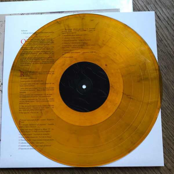 LAMCHOP - BIBLE orange black marbled vinyl LP2 - Slika 3