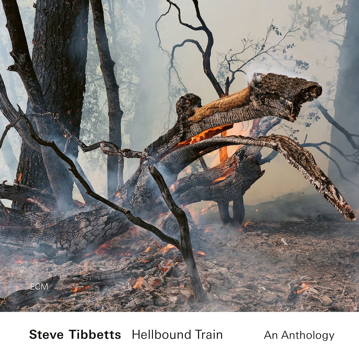 TIBBETS STEVE - HELLBOUND TRAIN CD