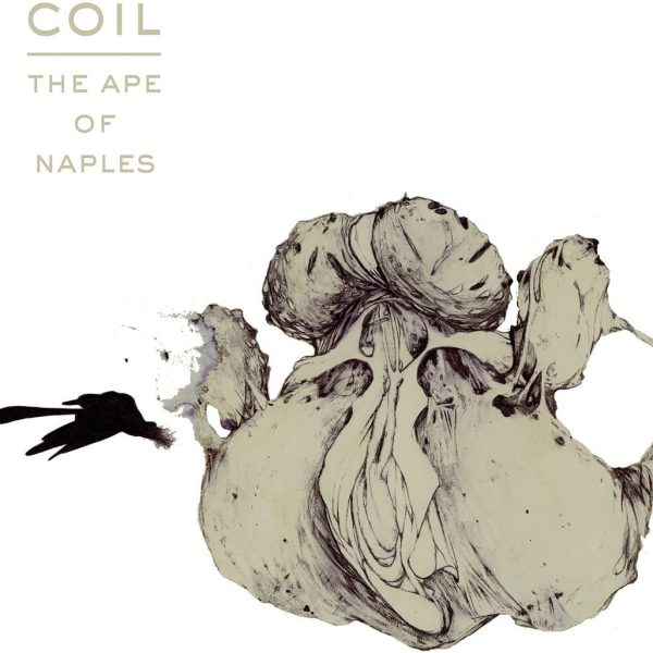 COIL - APE OF NAPLES LP3